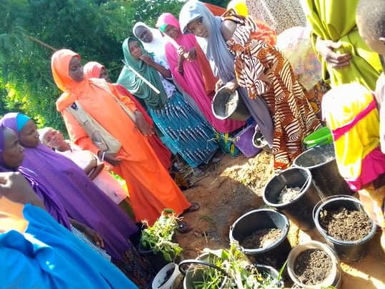 Women learning to grow vegetables in pots at a micro-garden training