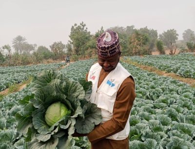 Boosting Resilience in Katsina, Smallholder Farmers Thriving with @WFP and @UKAID Support !!!!